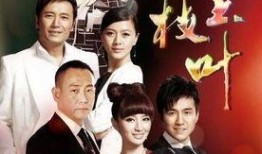 金枝玉叶电视剧在线观看,宫廷权谋与情感纠葛的华丽演绎